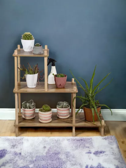 Çiçeklik, Saksılık, Çiçek Standı, Dekoratif Saksı